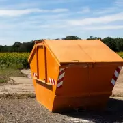 Dudley MP Demands North Borough Tip as Council Announces Strategic Review