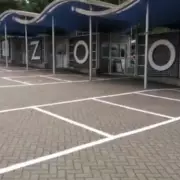 Dudley Zoo Offers £7 Entry for Benefit Recipients Throughout March