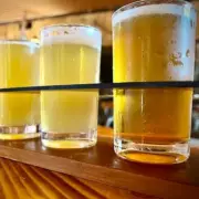 Foster's Lager Reduces Alcohol Content Again Amid UK Tax Increases