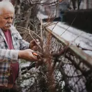 Four Essential February Gardening Tasks to Transform Your Outdoor Space