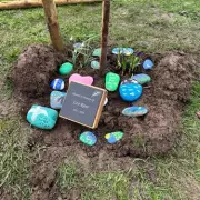 Heartbreaking Messages Left at Tree Planted in Memory of Leo Ross in Trittiford Park