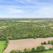 James Bond-Style Hideaway Opportunity in Warwickshire Woodland Near Birmingham