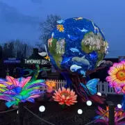 Lanterns of the Wild: Twycross Zoo's Magical Light Trail Offers Family Fun This Half Term