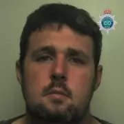 Midlands Man Jailed for Running Illegal Pet Shop from Council House