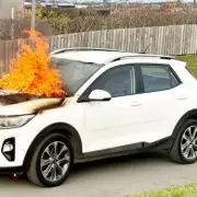 New £9,000 Kia Bursts into Flames with Puppy Inside Just 12 Days After Purchase