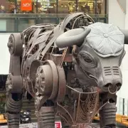 Ozzy the Bull Gets Peaky Blinders Makeover at Birmingham New Street Station