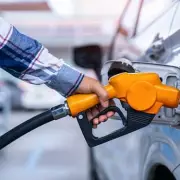 Petrol and Diesel Cars Face 'Unviable' Future as Electric Vehicles Gain Dominance