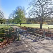 Safety and Litter Concerns Deter West Midlands Residents from Parks and Green Spaces