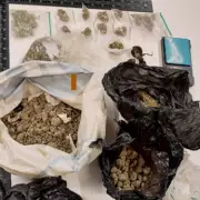 Three Suspected Drug Dealers Arrested in Lye After Police Witness Suspicious Activity