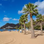 Tragic Machete Attack in Tenerife Leaves 10-Year-Old Boy Dead, Mother Critical