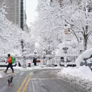 UK Braces for 600-Mile Snow Wall as Arctic Freeze Follows New York Blizzard