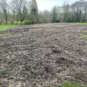 Walsall Council Ordered to Remove Hazardous Waste from Arboretum After Dogs Injured