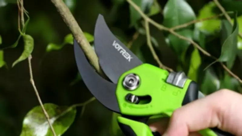 Affordable Votrek Secateurs Aid Gardeners with Arthritis and Weak Hands