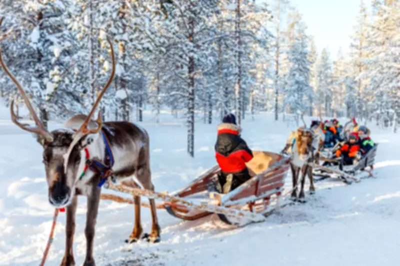 AirBaltic Launches Direct UK Flights to Lapland for Easier Christmas Trips