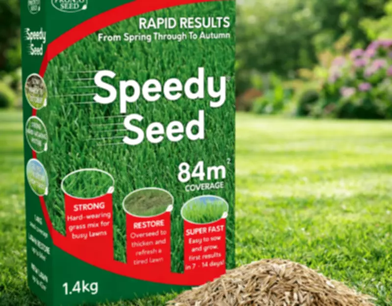 Amazon's Top Garden Seller: The Surprising Spring Lawn Seed Boom