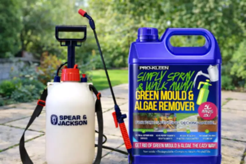 Amazon's Top Patio Cleaning Products to Combat Winter Grime