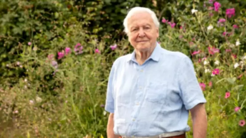 BBC to Air Three Original Specials for Sir David Attenborough's 100th Birthday