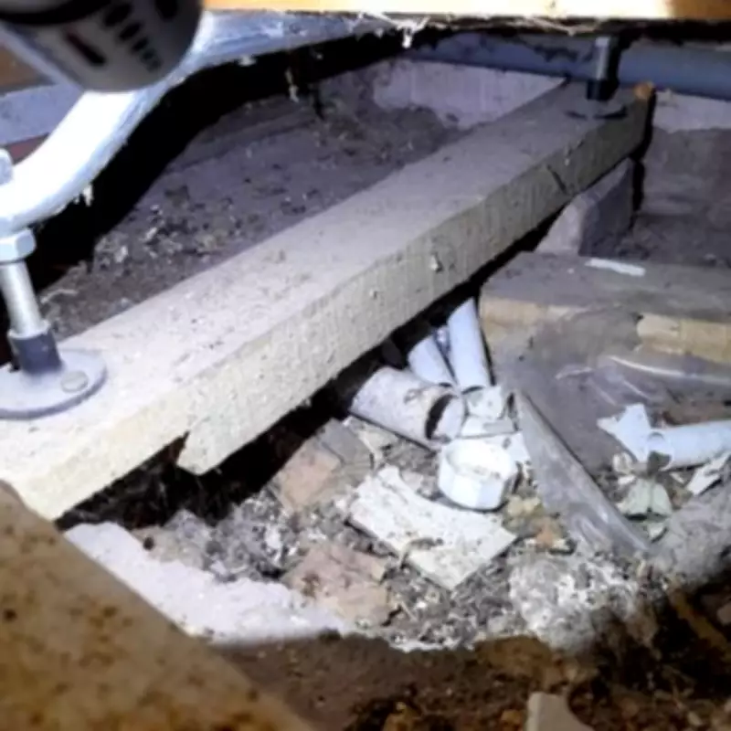 Birmingham Grandmother's 'Living Hell' as Rat Carcasses Leak Through Ceiling