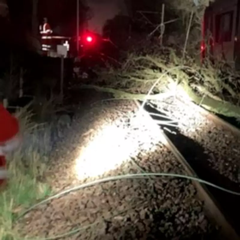 Birmingham New Street Train Services Face Major Disruption After Tree Blocks Line