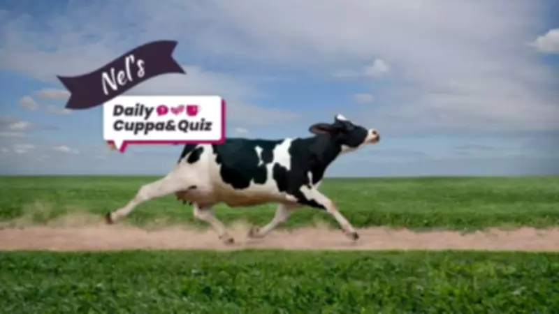 Birmingham's Daily Trivia: From History to Nature and Beyond