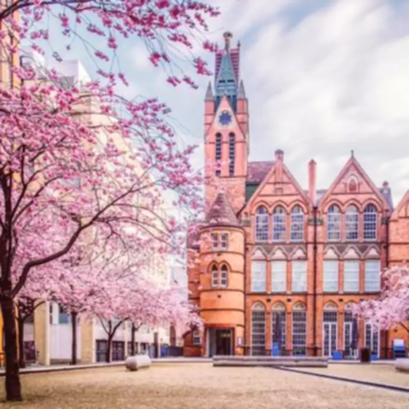 Birmingham's First Japanese Cherry Blossom Makers Market Arrives This Weekend