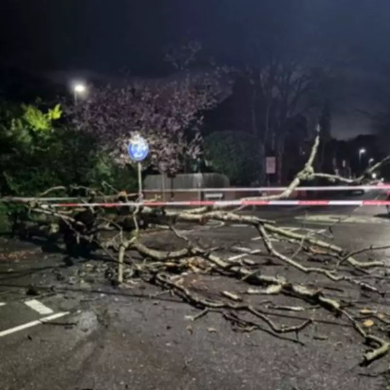 Birmingham's Lucky Escape as Storm Topples Trees, Disrupting Roads and Rail