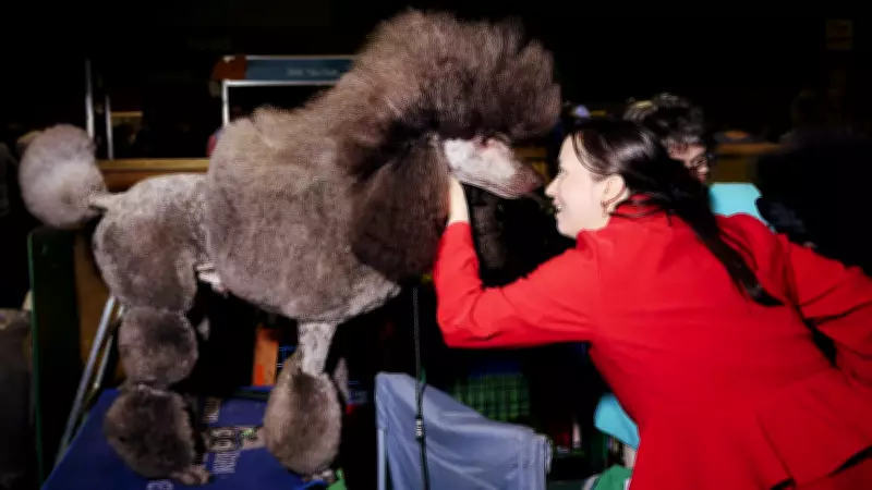 Birmingham's Top Dog Event Showcases City's Weirdest and Cutest Canine Competition