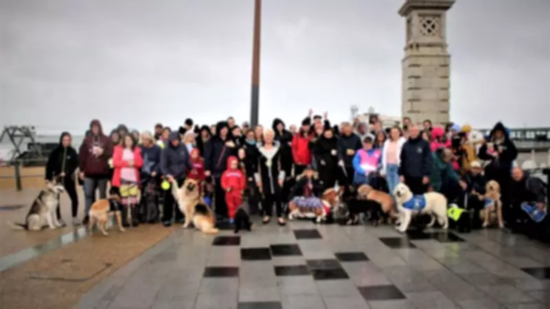 Bournemouth Dog Walk Supports Homelessness and Assistance Dog Charities