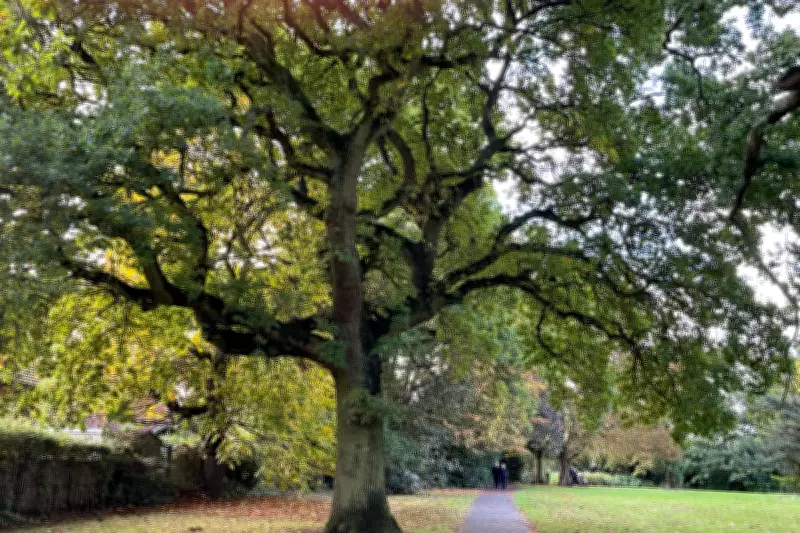 Bournville Named Birmingham's Best Place to Live in Sunday Times 2026 Guide