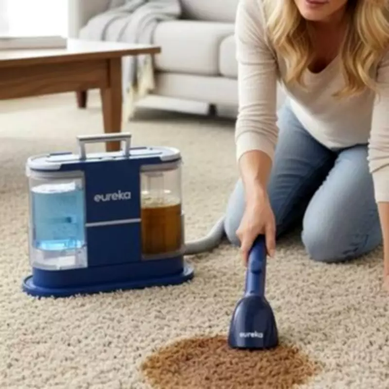 Breeins Portable Carpet Cleaner: £80 Solution for Families with Kids and Pets