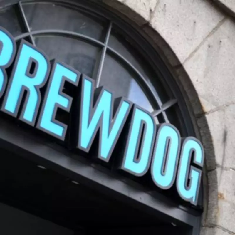 BrewDog and Pagazzi Collapse: Over 550 Jobs Lost in UK Business Administrations