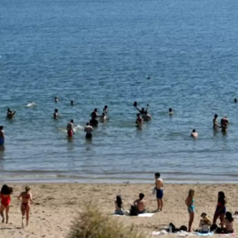 Brits Urged to Check Sunscreen Expiry Symbol Before Summer Use