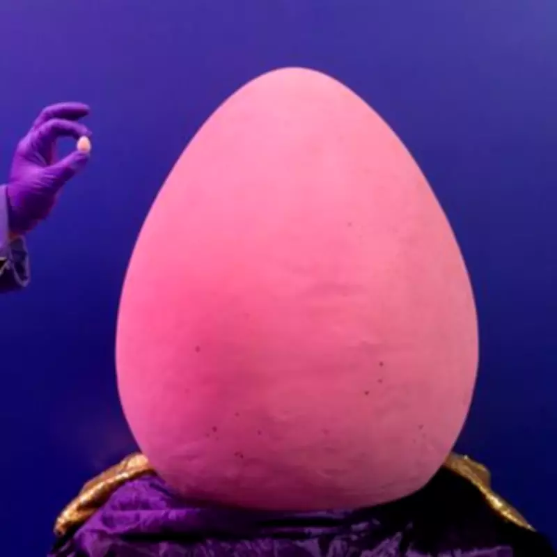 Cadbury Unveils World's Largest 55kg Mini Egg at Birmingham Attraction