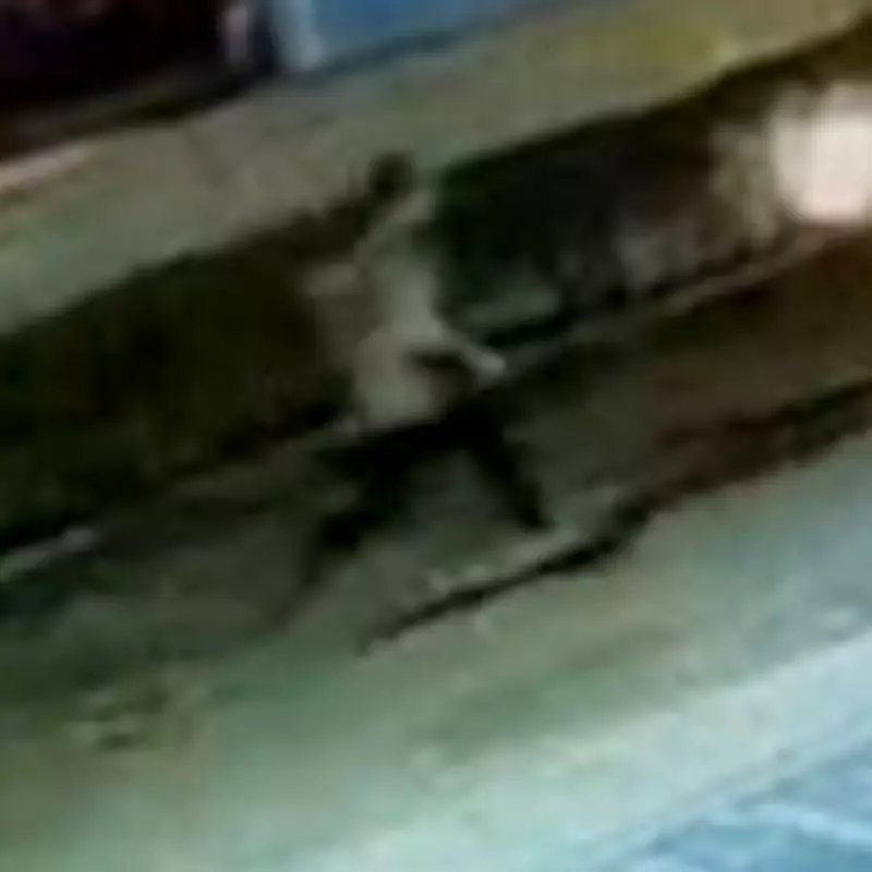 CCTV Shows TOWIE Star Jordan Wright's Final Moments Before Thailand Death