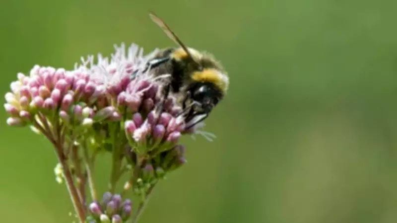 Celebrating Women in Conservation on International Women's Day