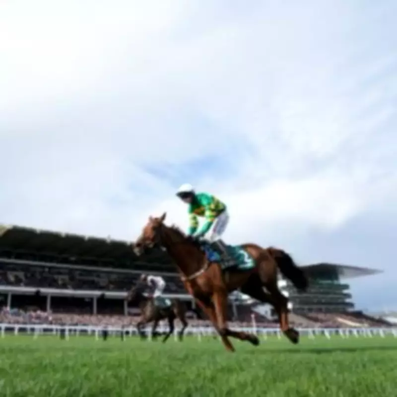 Cheltenham Racecourse Cancels Final Fixtures for Major Drainage Upgrade