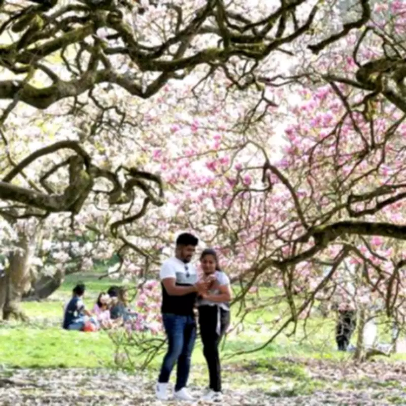 Clocks Spring Forward: Birmingham's First 8pm Sunset Date Revealed for 2026