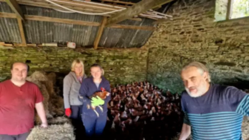 Clynfyw Care Farm Hosts Easter Egg Hunt and Renewable Energy Showcase