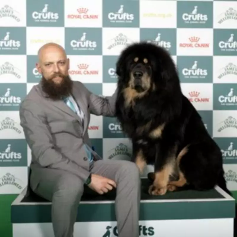 Crufts 2026 Day 1: Working & Pastoral Groups Schedule and Highlights