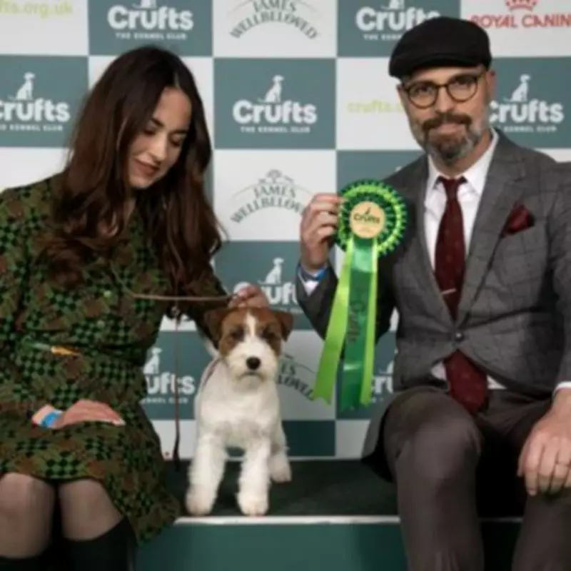 Crufts 2026 Day 2: Terrier and Hound Groups Schedule and Highlights