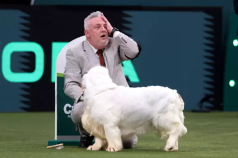 Crufts 2026 in Birmingham: Best in Show Winner Revealed with Stunning Photos