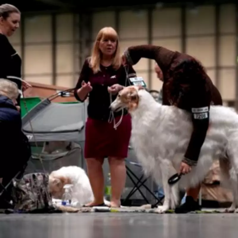 Crufts 2026 Winners Announced: Top Dogs and Breeds Revealed