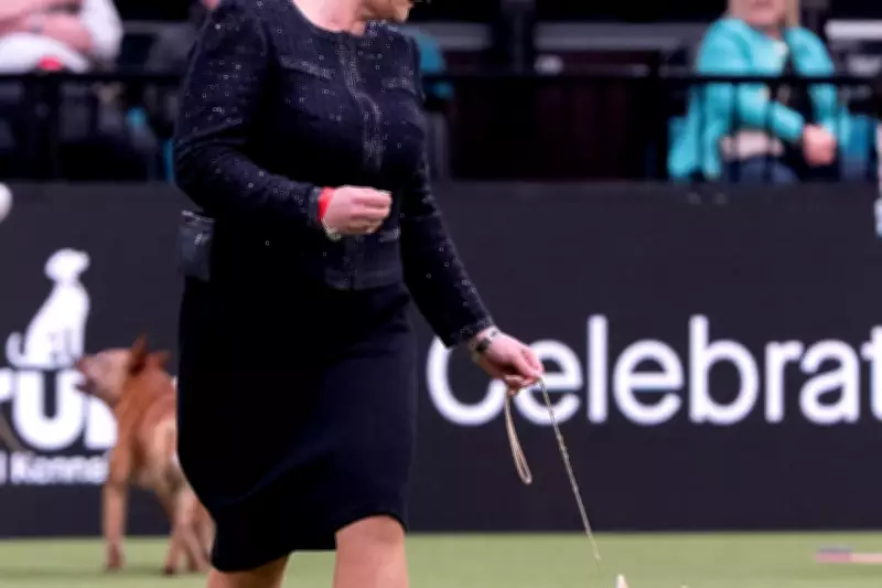 Crufts 2026: Working and Pastoral Group Winners Announced in Birmingham