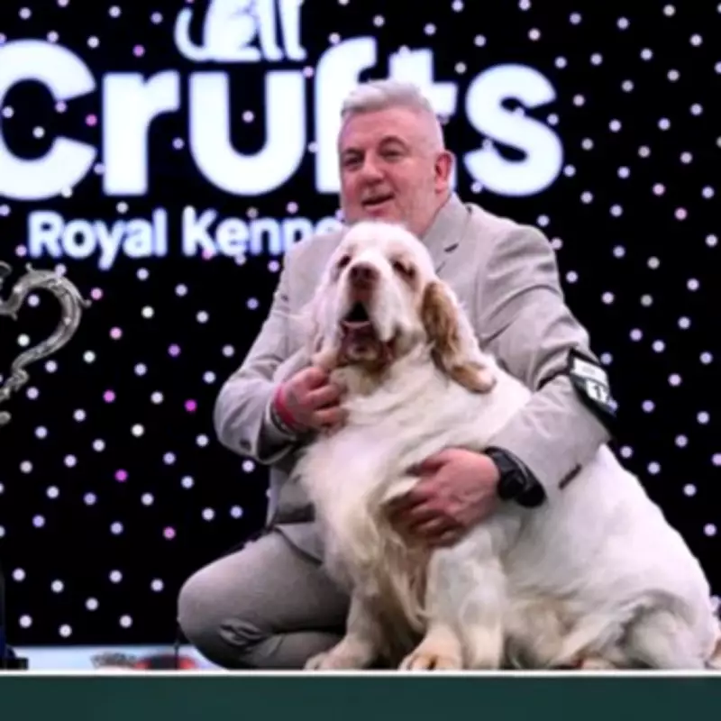 Crufts Best in Show Winner Lee Cox Has Past Animal Cruelty Conviction