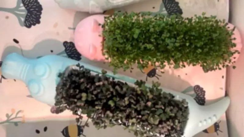 Derbyshire Duo Launches Reusable Growing Kits for Kids