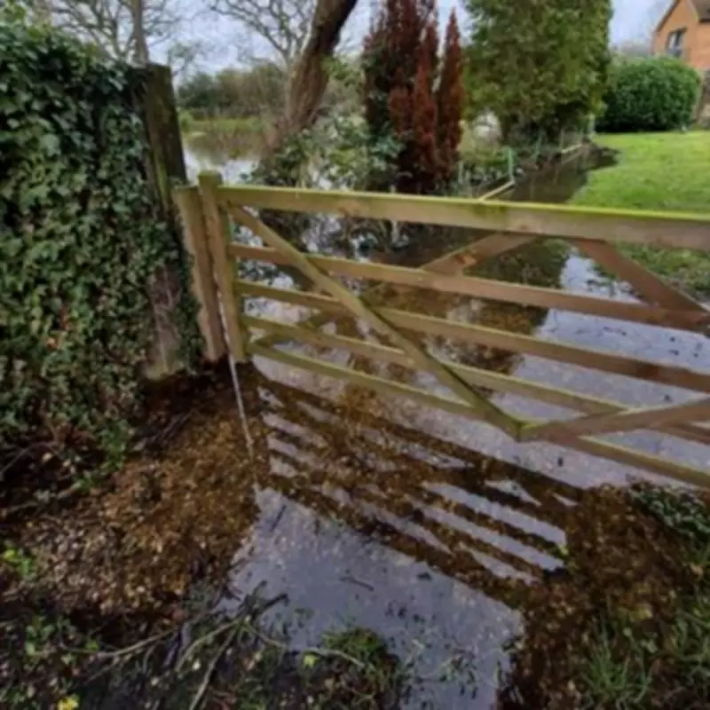 Disabled Woman Trapped for Days After Flooding Blamed on Overdevelopment