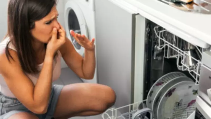 Dishwasher Dangers: Hidden Germs and Essential Maintenance Tips Revealed