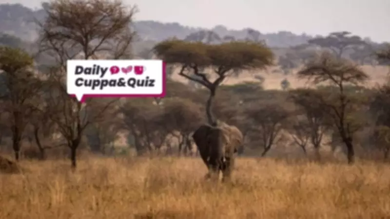 Doctor Who's Triumphant Return and Daily Trivia Challenge