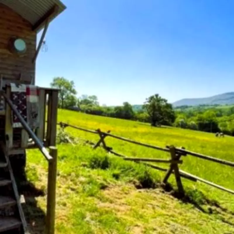 Dreamcatcher Wagon: A 'Hidden Gem' Glamping Retreat in the Black Mountains