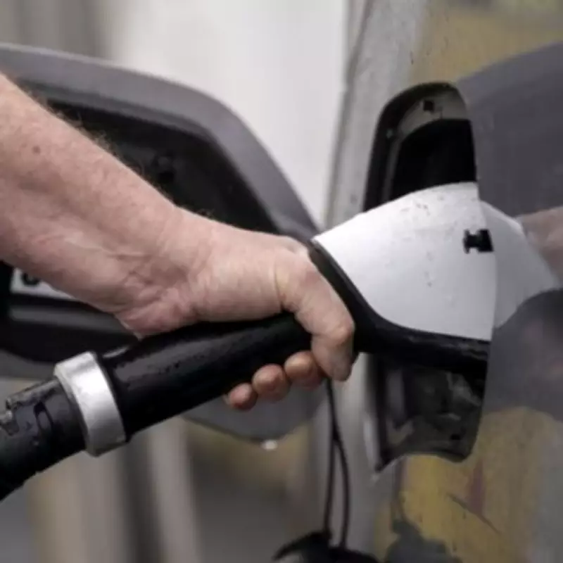 Electric Vehicle Sales Miss Targets, Prompting Industry Calls for Mandate Review